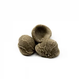 Orecchiette al grano arso