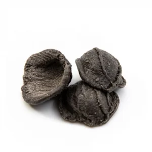 Orecchiette al nero di seppia